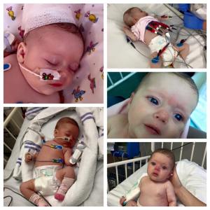 11990695_885606198200165_4269304241309190643_n